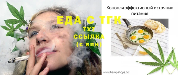 индика Арсеньев