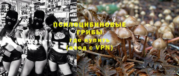 индика Арсеньев