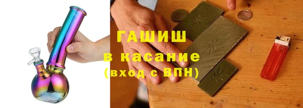 индика Арсеньев