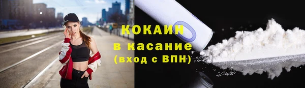 индика Арсеньев