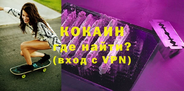 индика Арсеньев