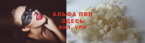 винт Армянск