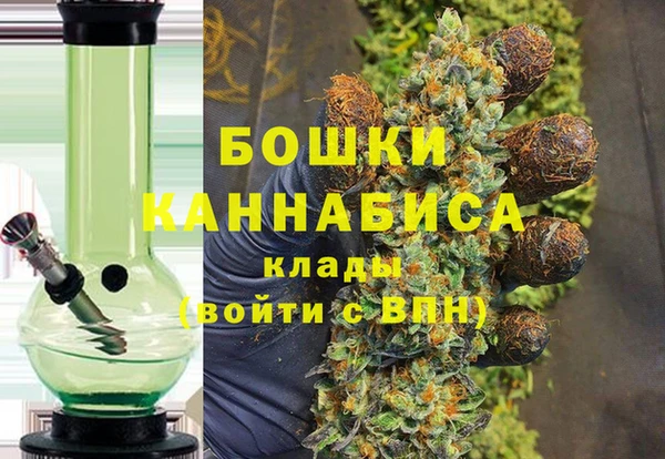 индика Арсеньев