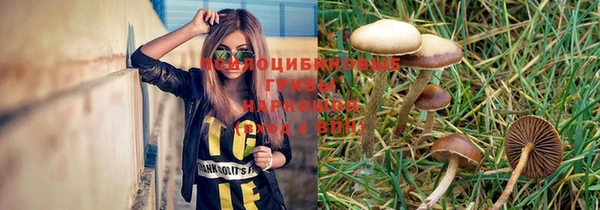 индика Арсеньев
