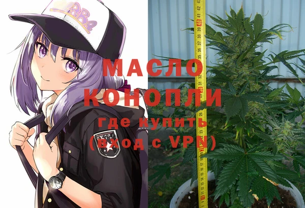 индика Арсеньев
