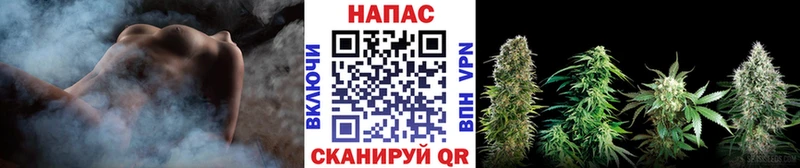 Шишки марихуана Amnesia  Отрадный 